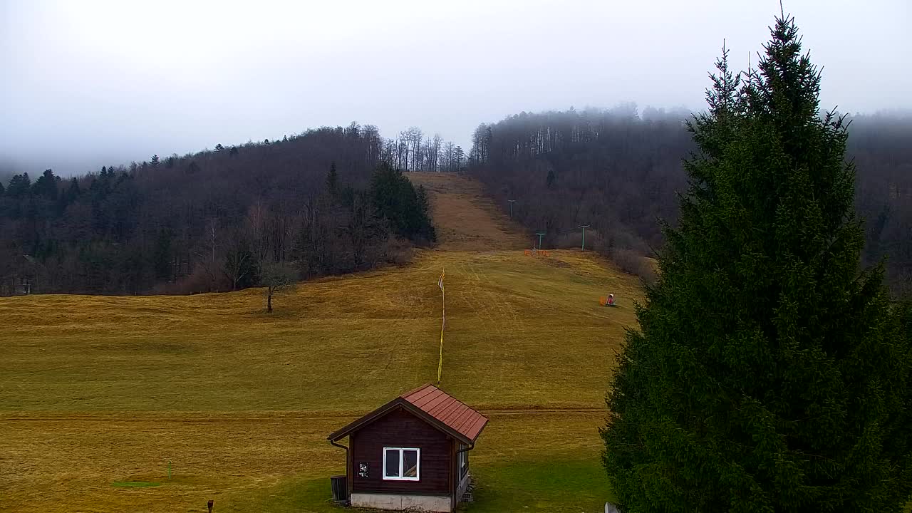 Webcam Lokve – The beauty of the Trnovo forest