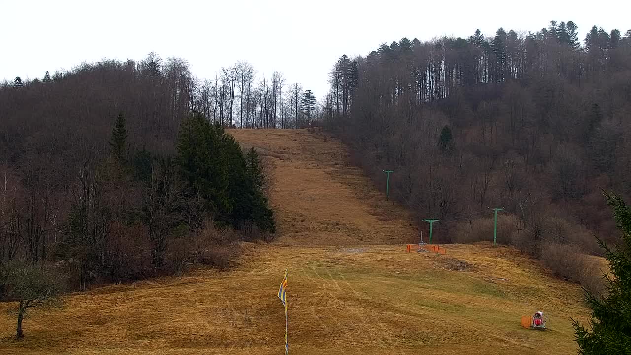 Lokve kamera – Naravne lepote Trnovskega gozda