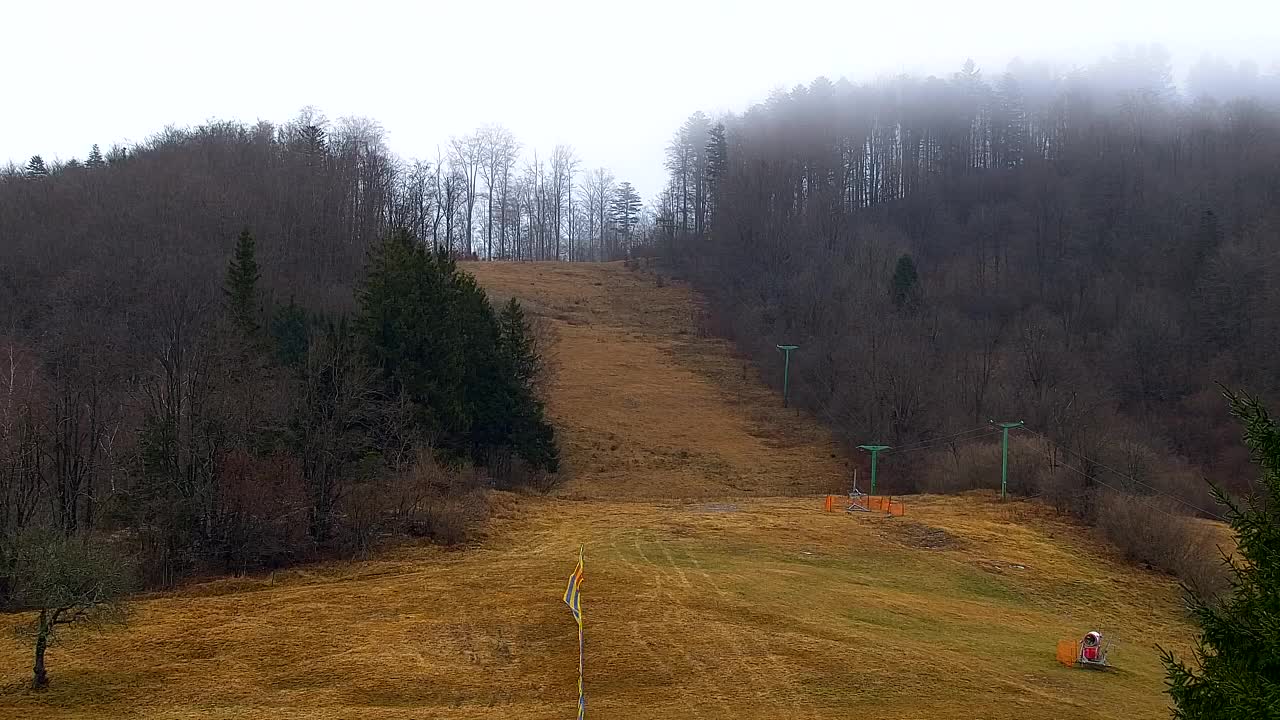 Webcam Lokve – The beauty of the Trnovo forest