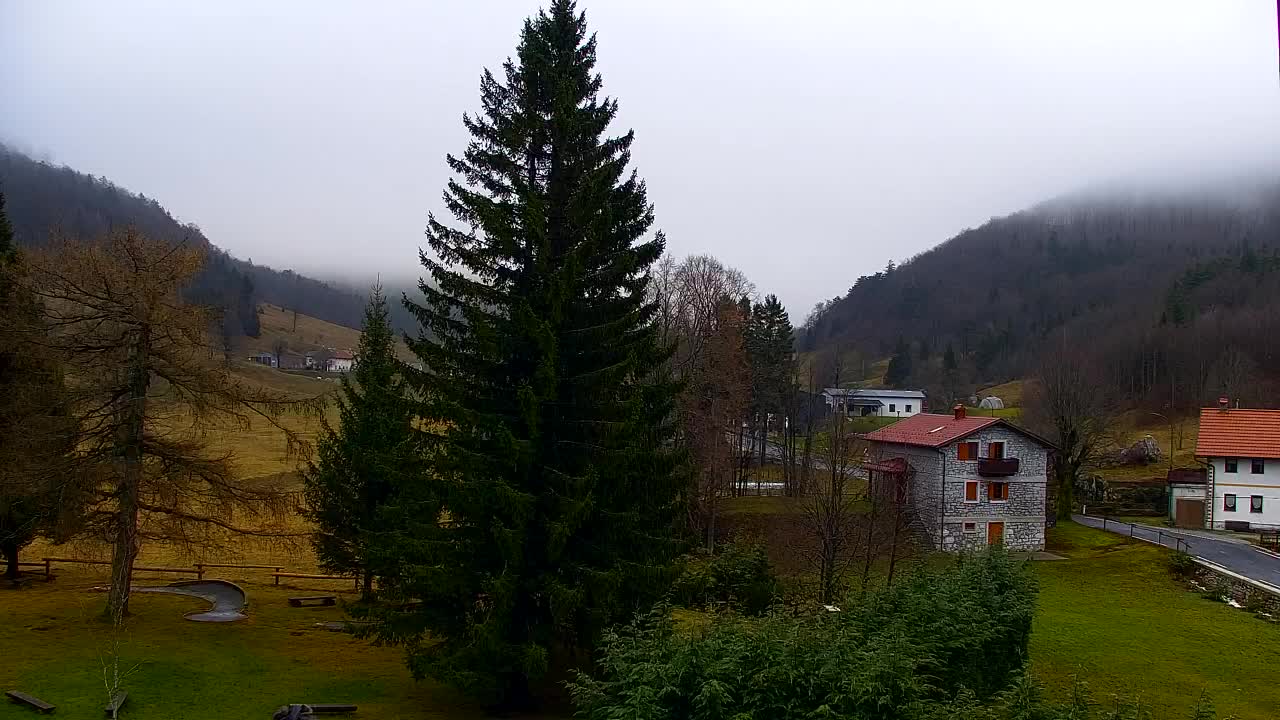 Webcam Loqua / Lokve – La bellezza della selva di Tarnova