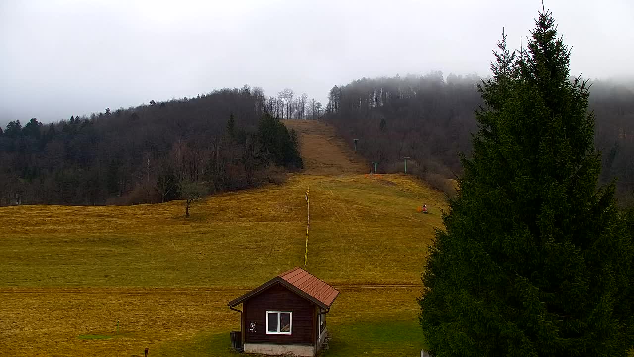 Webcam Loqua / Lokve – La bellezza della selva di Tarnova