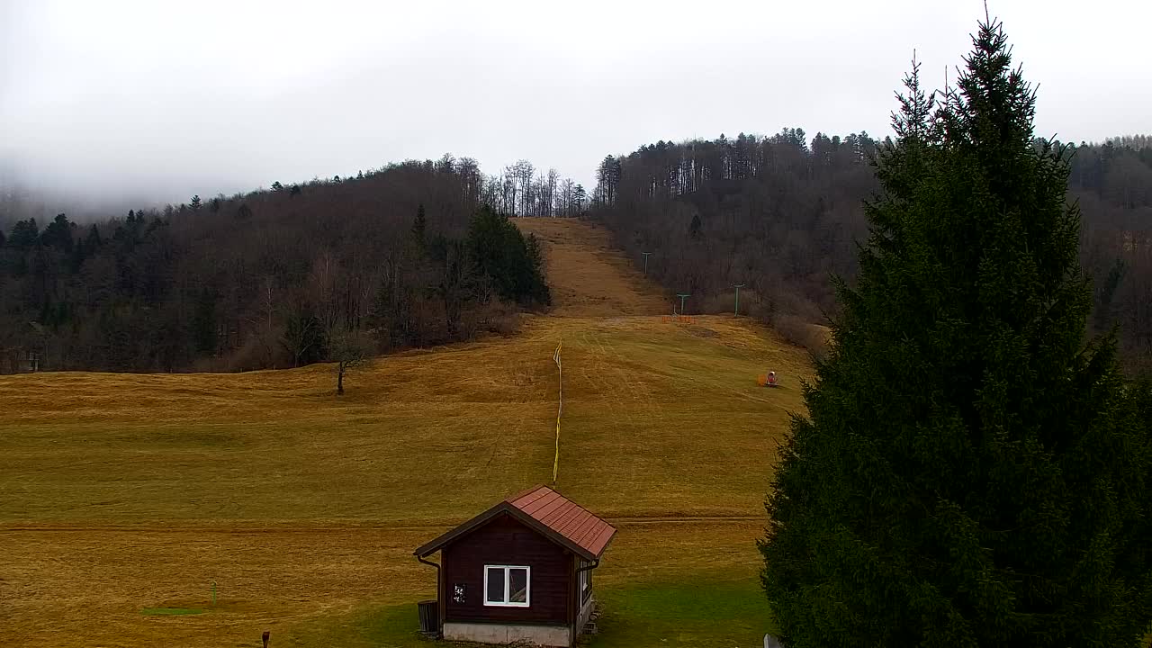 Webcam Lokve – La beauté de la forêt de Trnovo