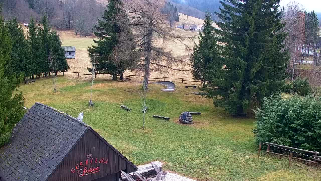 Lokve kamera – Naravne lepote Trnovskega gozda