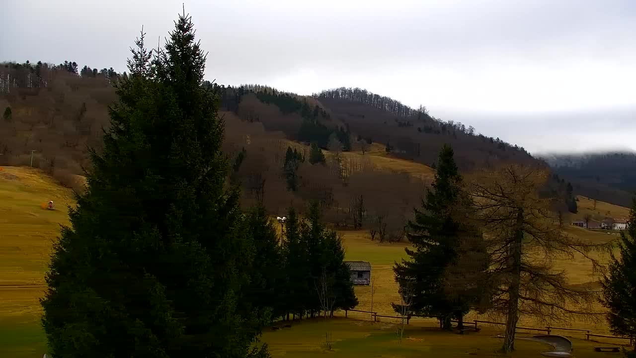 Webcam Lokve – The beauty of the Trnovo forest