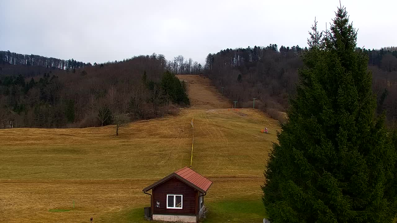 Lokve kamera – Naravne lepote Trnovskega gozda