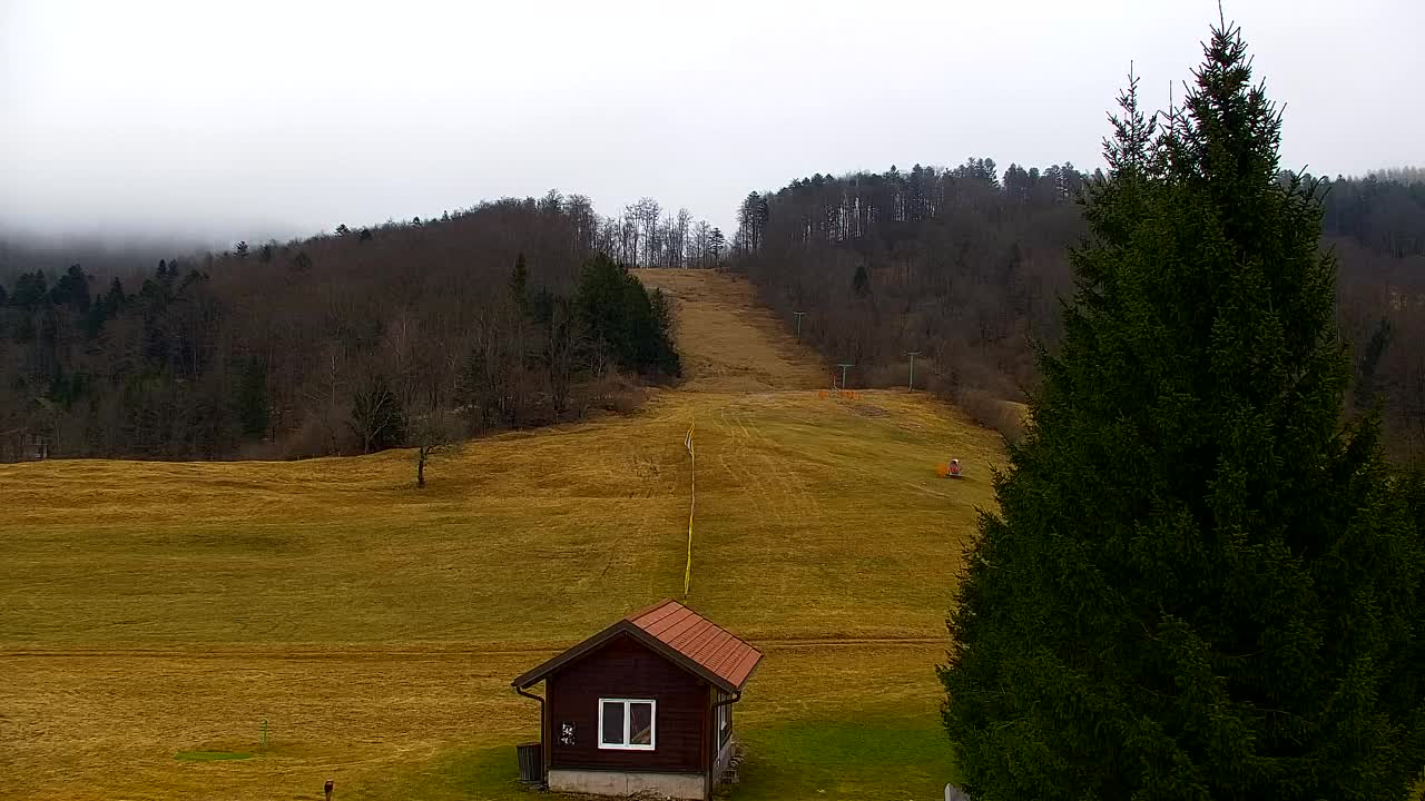 Webcam Loqua / Lokve – La bellezza della selva di Tarnova