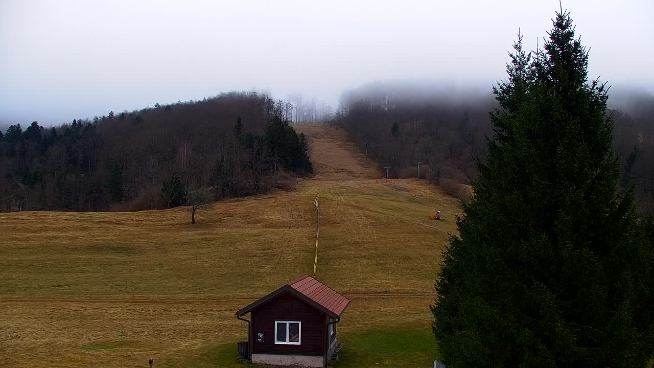 Webcam Loqua / Lokve – La bellezza della selva di Tarnova