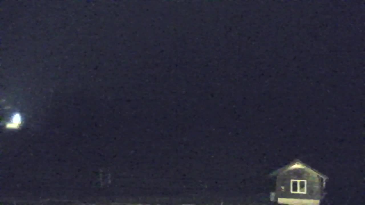 Webcam Loqua / Lokve – La bellezza della selva di Tarnova