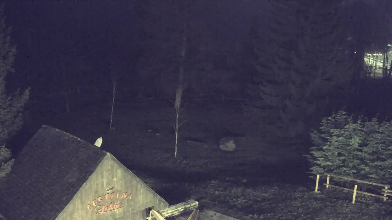 Web kamera Lokve – Ljepota Trnovske šume