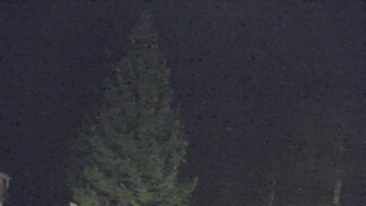 Webcam Lokve – Die Schönheit des Trnovo-Waldes