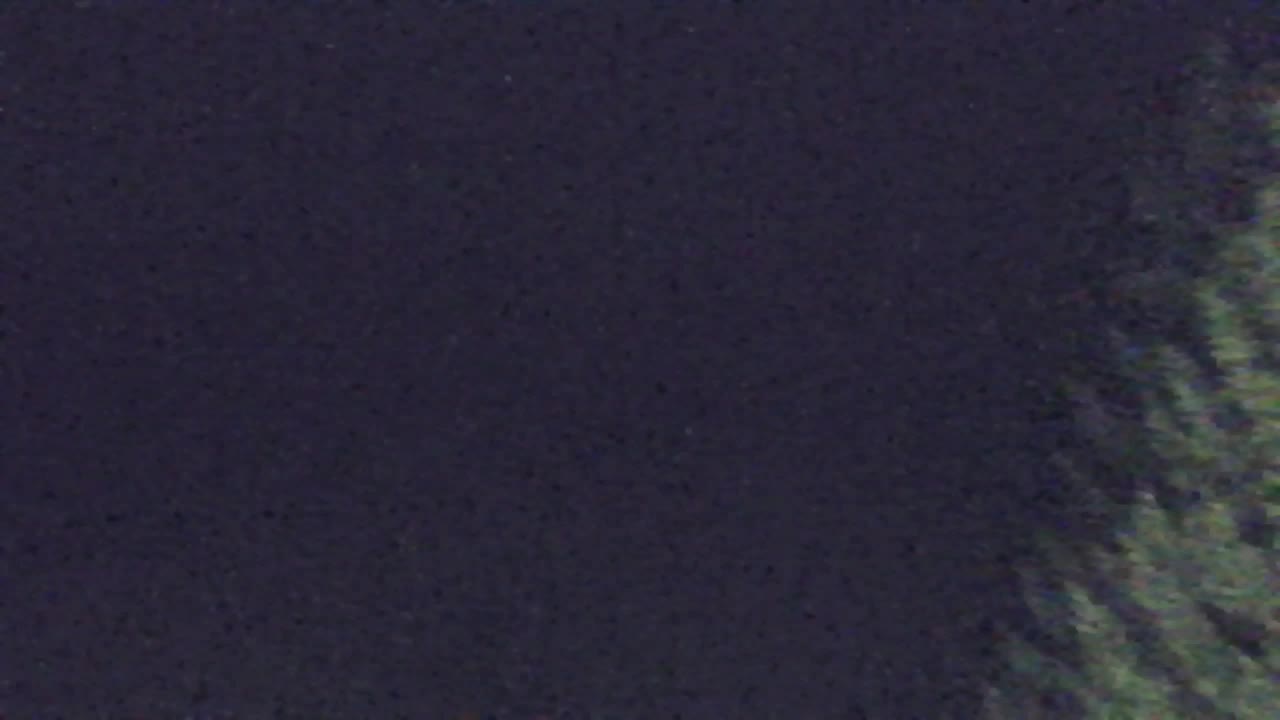 Webcam Lokve – The beauty of the Trnovo forest