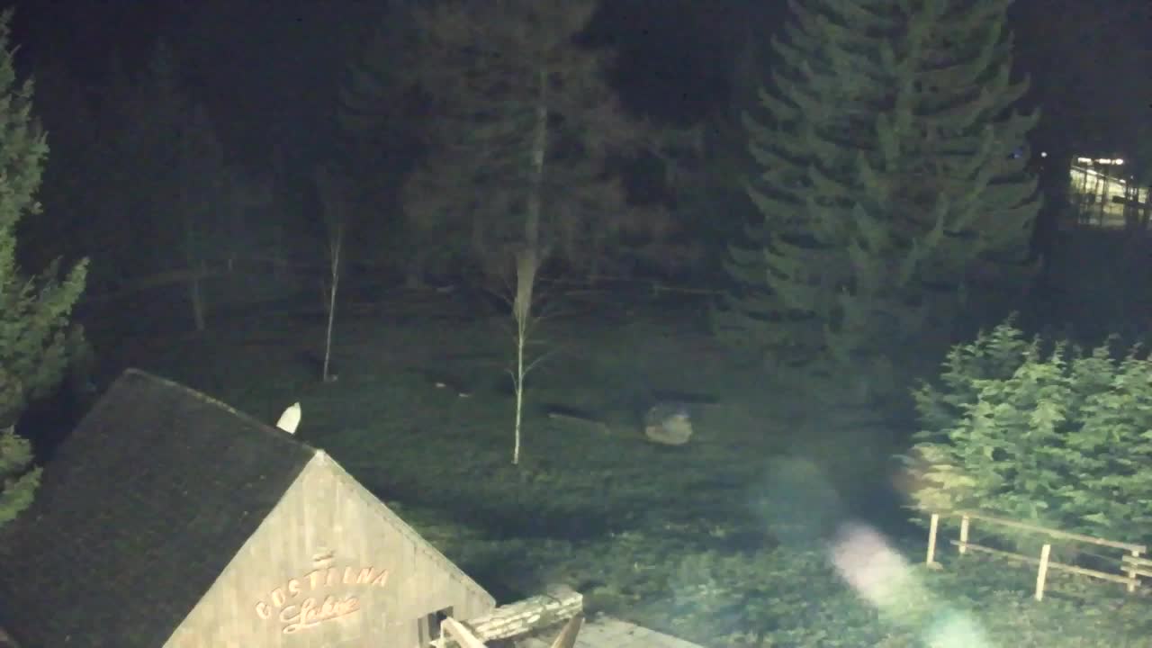 Webcam Lokve – The beauty of the Trnovo forest