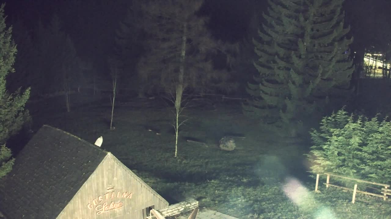 Webcam Lokve – The beauty of the Trnovo forest