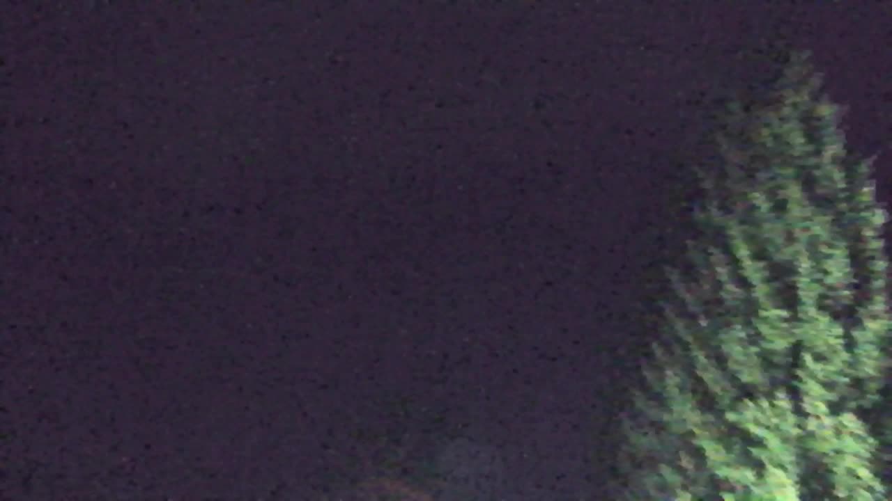 Webcam Lokve – La beauté de la forêt de Trnovo