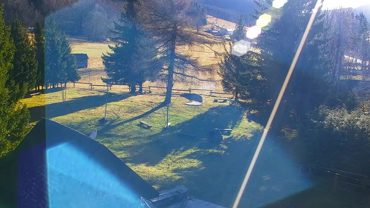 Webcam Lokve – The beauty of the Trnovo forest