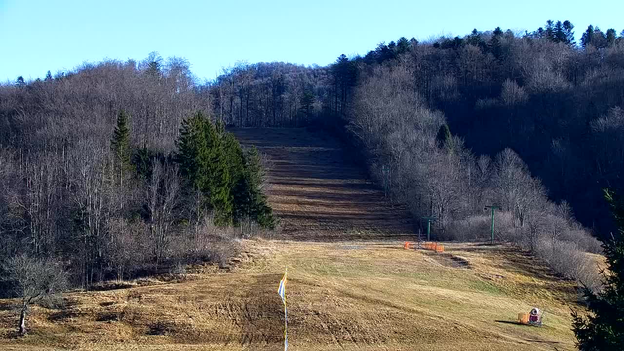 Webcam Lokve – The beauty of the Trnovo forest