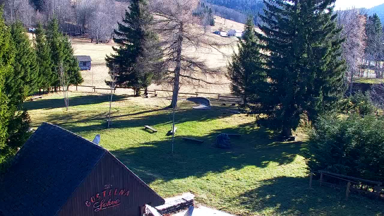 Webcam Lokve – The beauty of the Trnovo forest