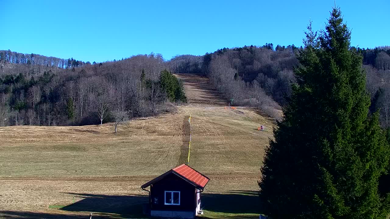 Web kamera Lokve – Ljepota Trnovske šume