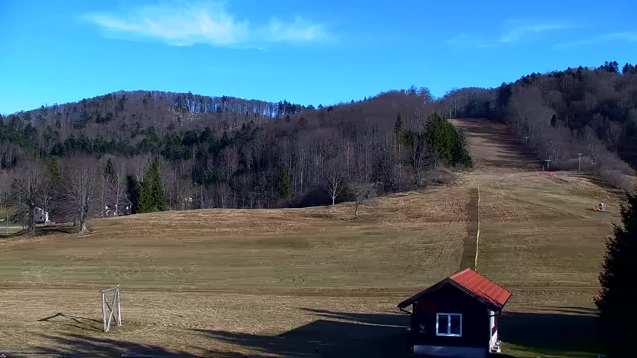 Webcam Loqua / Lokve – La bellezza della selva di Tarnova