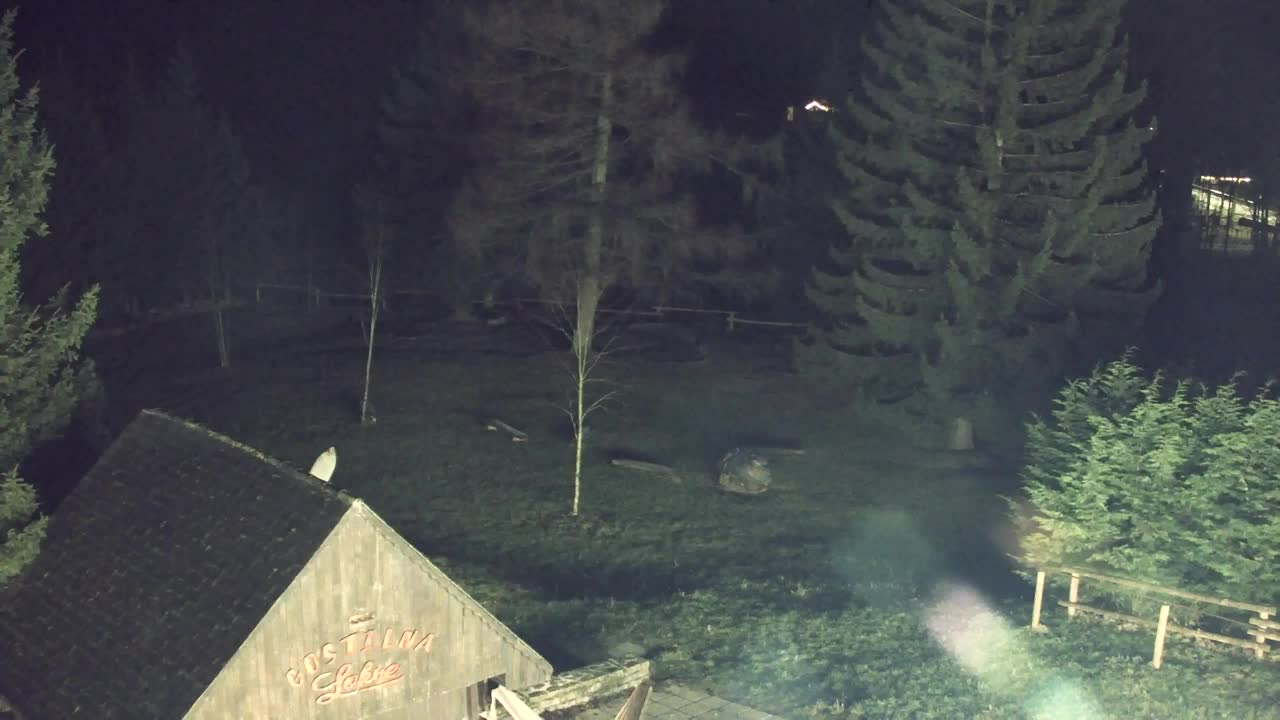 Webcam Lokve – The beauty of the Trnovo forest