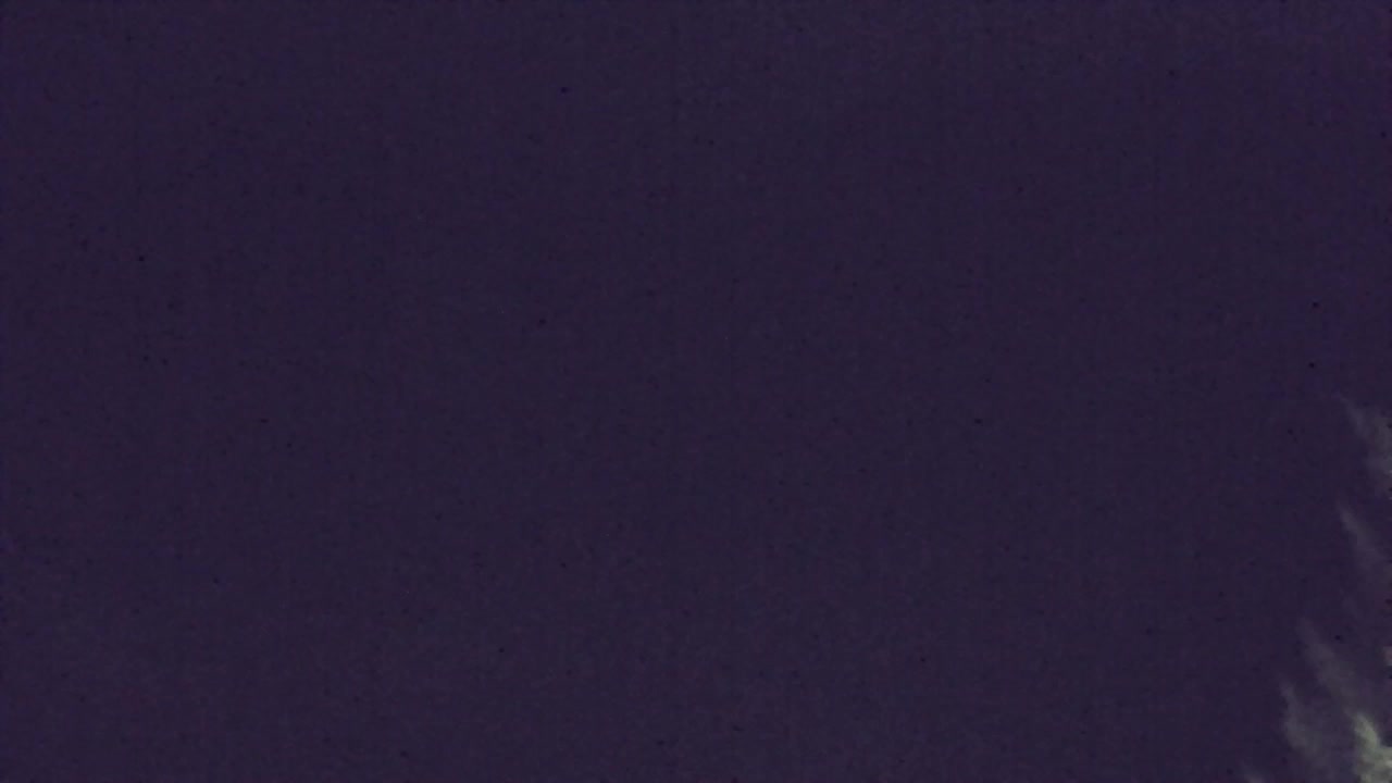 Webcam Loqua / Lokve – La bellezza della selva di Tarnova