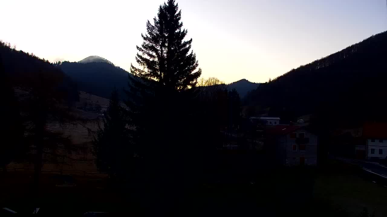 Webcam Loqua / Lokve – La bellezza della selva di Tarnova