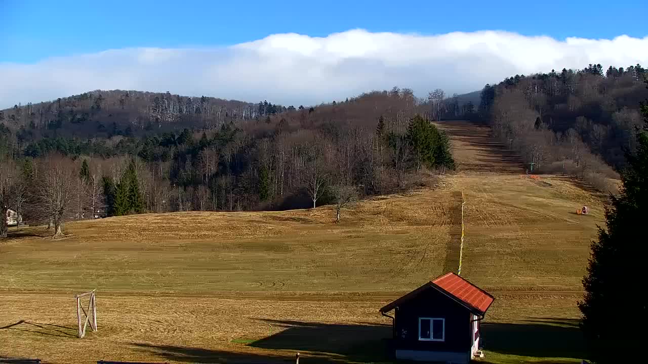 Webcam Loqua / Lokve – La bellezza della selva di Tarnova