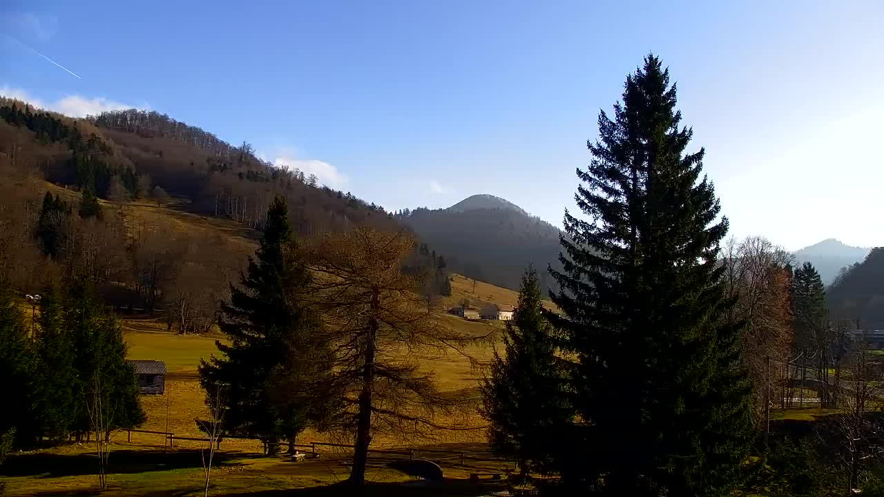 Lokve kamera – Naravne lepote Trnovskega gozda