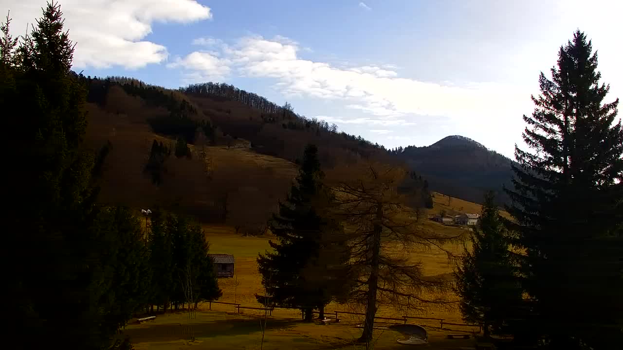 Web kamera Lokve – Ljepota Trnovske šume