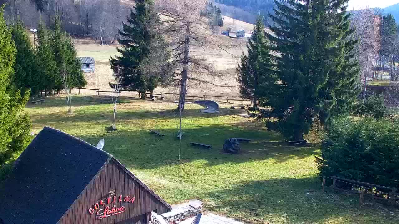 Web kamera Lokve – Ljepota Trnovske šume