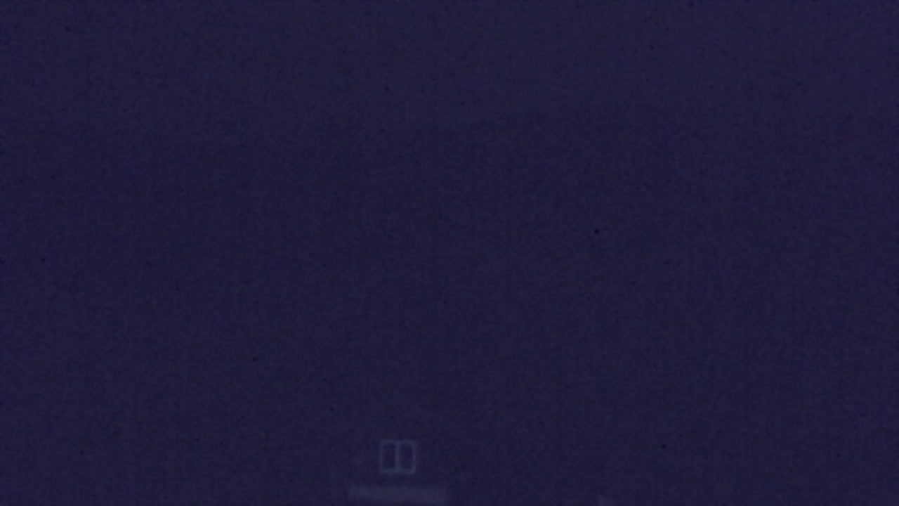 Webcam Loqua / Lokve – La bellezza della selva di Tarnova