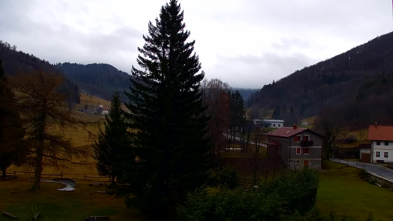 Web kamera Lokve – Ljepota Trnovske šume