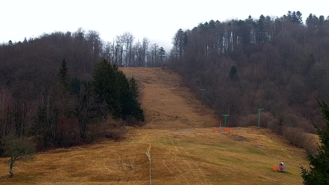 Camera en vivo Lokve – La belleza del bosque de Trnovo