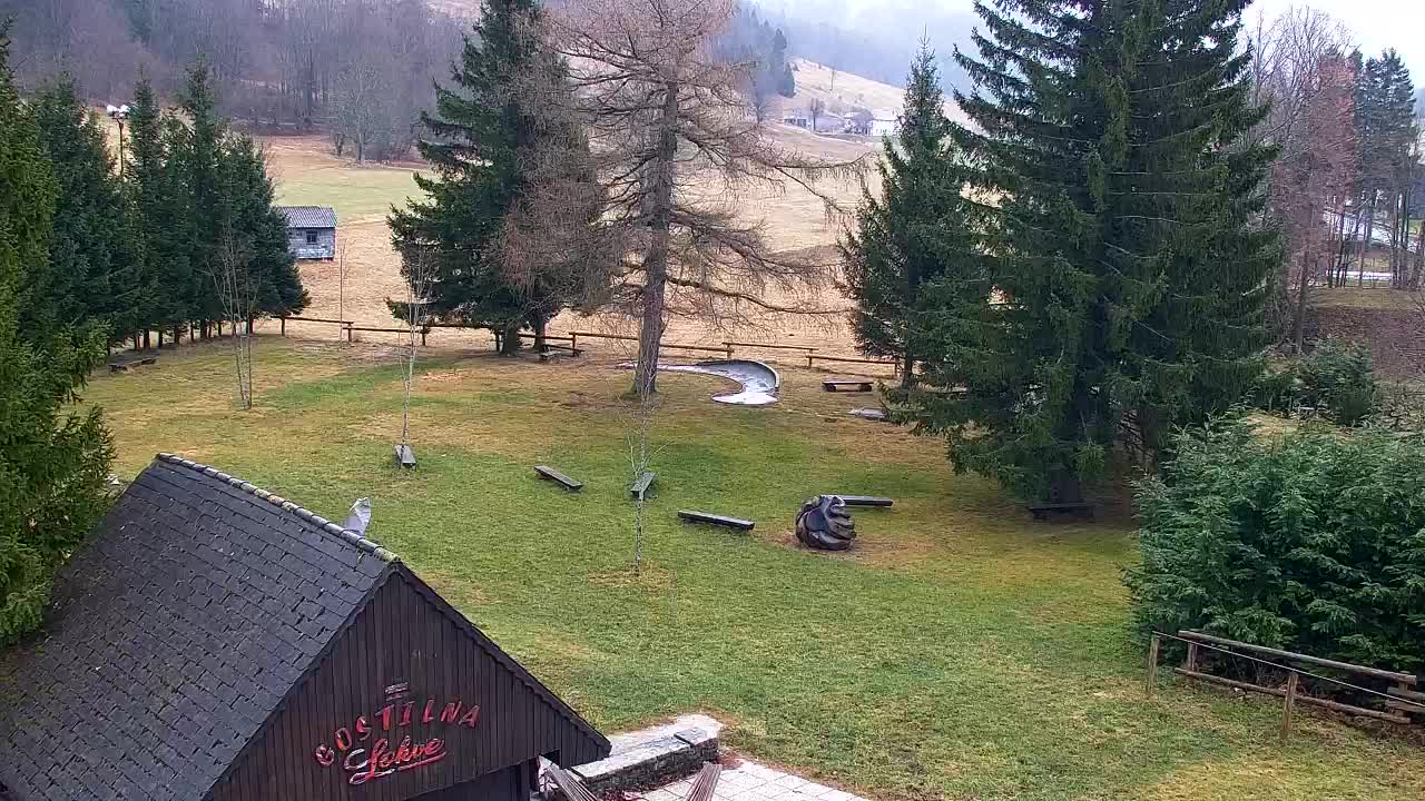 Webcam Lokve – Die Schönheit des Trnovo-Waldes