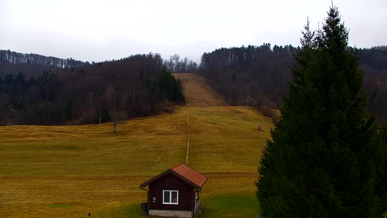 Camera en vivo Lokve – La belleza del bosque de Trnovo