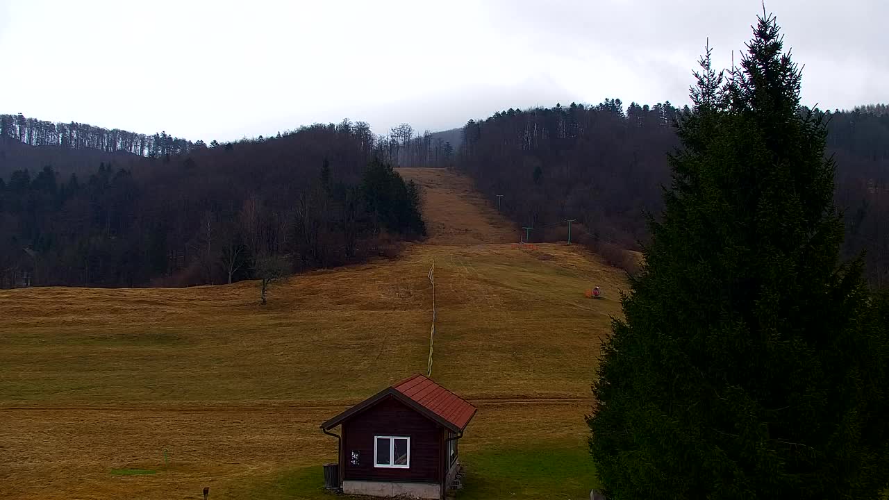 Webcam Lokve – Die Schönheit des Trnovo-Waldes