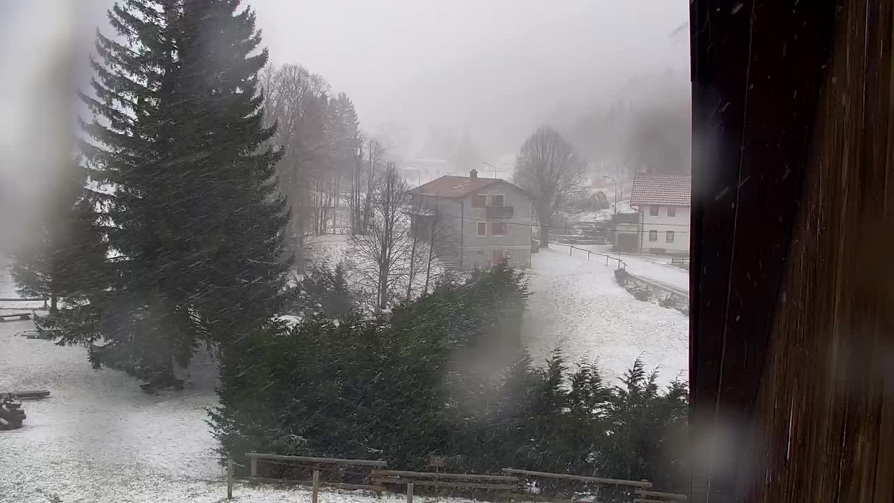 Web kamera Lokve – Ljepota Trnovske šume