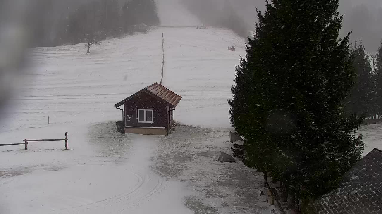 Web kamera Lokve – Ljepota Trnovske šume