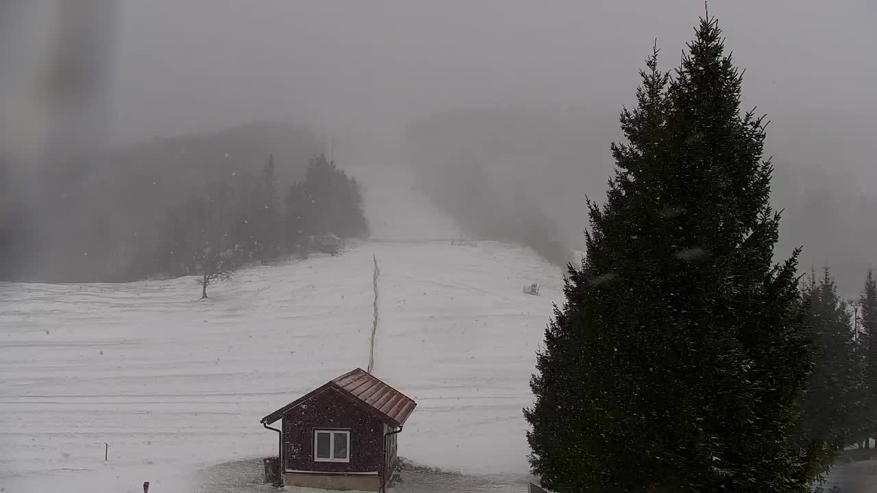 Webcam Lokve – The beauty of the Trnovo forest