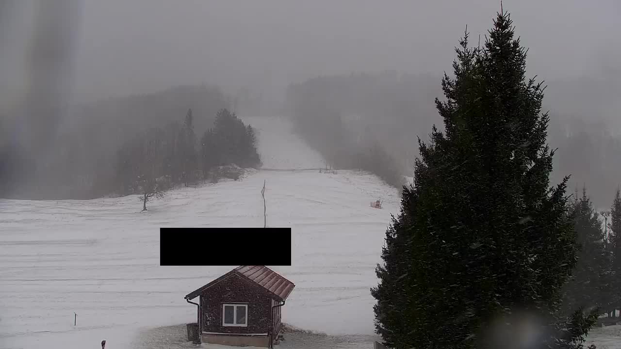 Webcam Lokve – The beauty of the Trnovo forest