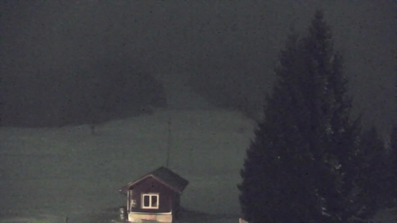 Lokve kamera – Naravne lepote Trnovskega gozda