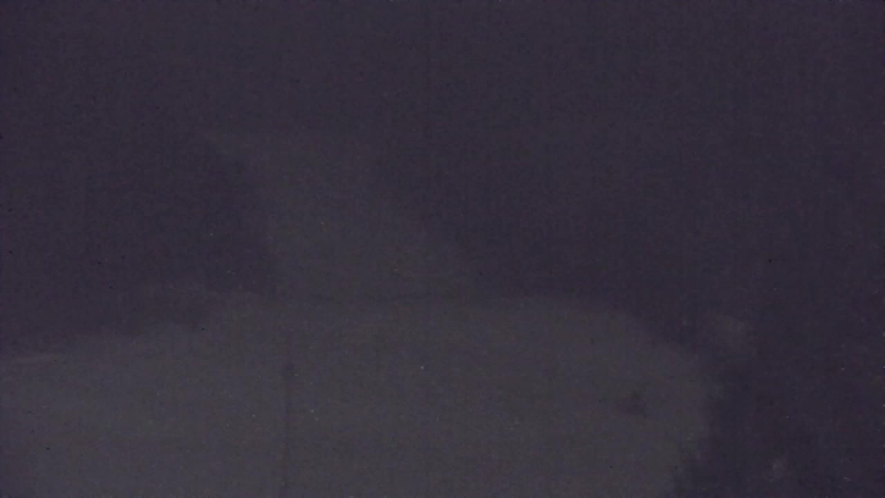 Lokve kamera – Naravne lepote Trnovskega gozda