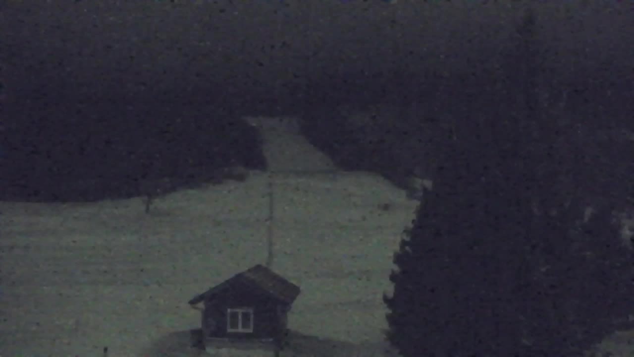 Web kamera Lokve – Ljepota Trnovske šume