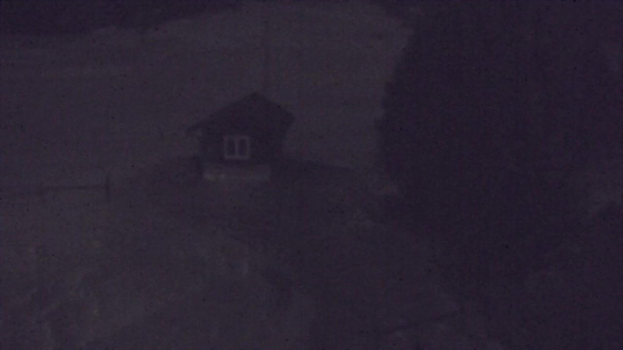 Web kamera Lokve – Ljepota Trnovske šume