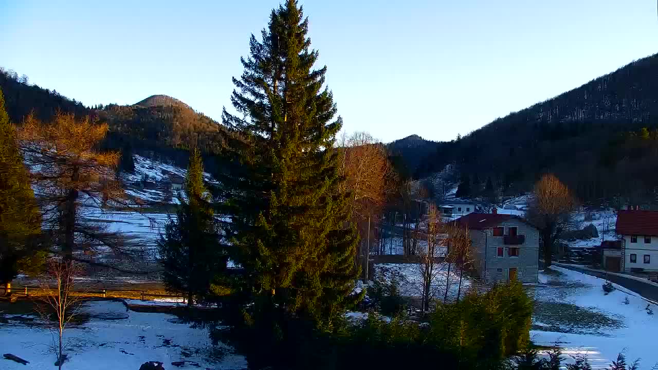 Webcam Lokve – The beauty of the Trnovo forest