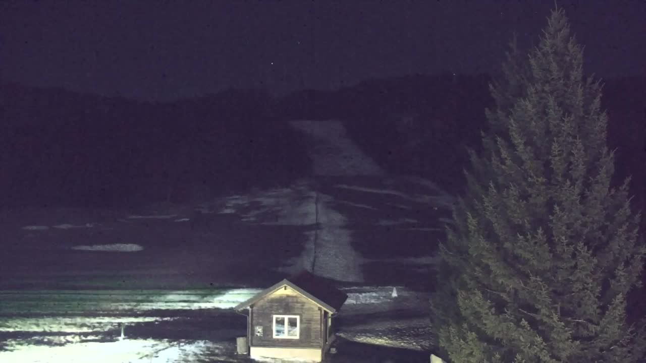 Web kamera Lokve – Ljepota Trnovske šume