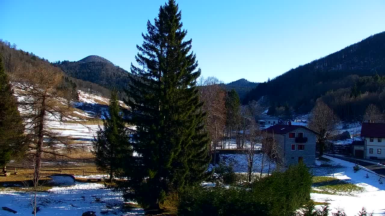 Webcam Lokve – The beauty of the Trnovo forest