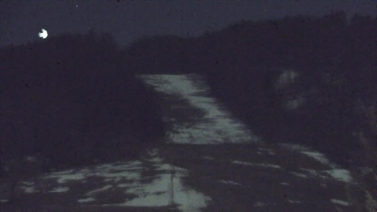 Webcam Lokve – Die Schönheit des Trnovo-Waldes