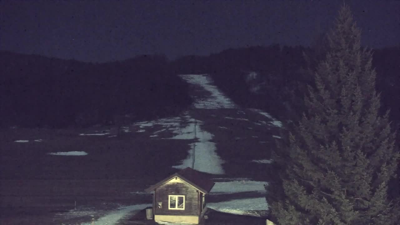 Webcam Loqua / Lokve – La bellezza della selva di Tarnova