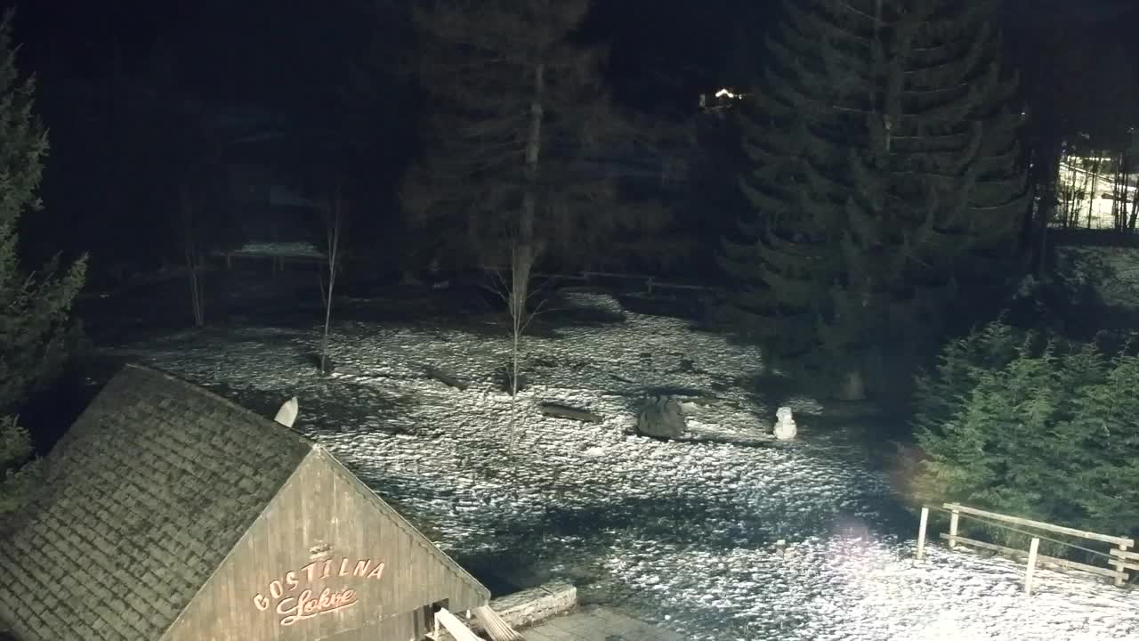 Webcam Loqua / Lokve – La bellezza della selva di Tarnova